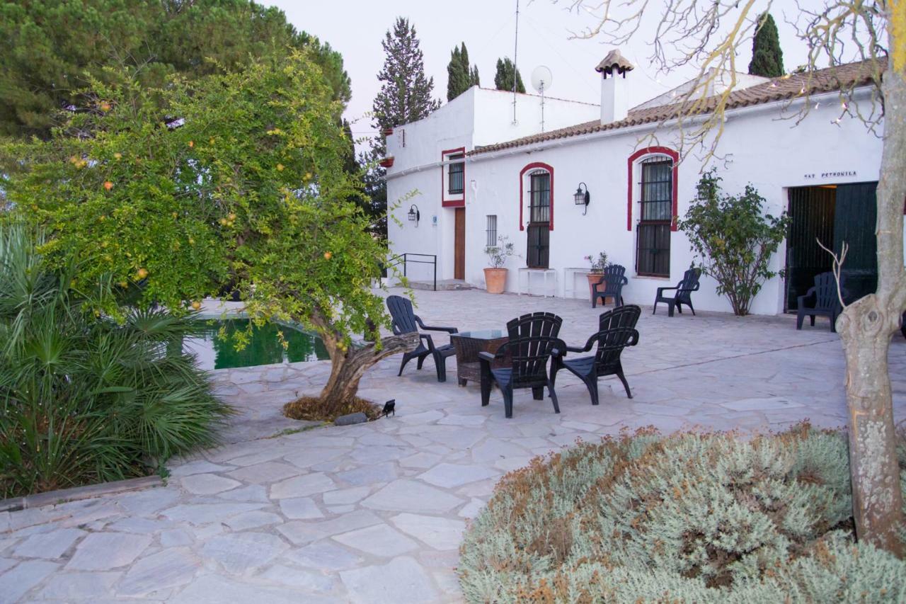 Jerez Vina Santa Petronila Guest House Jerez de la Frontera Exterior photo